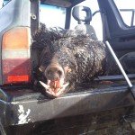 Photo0043