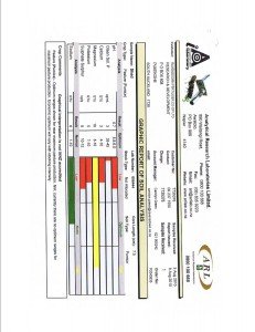 Graphic report of soil analysis